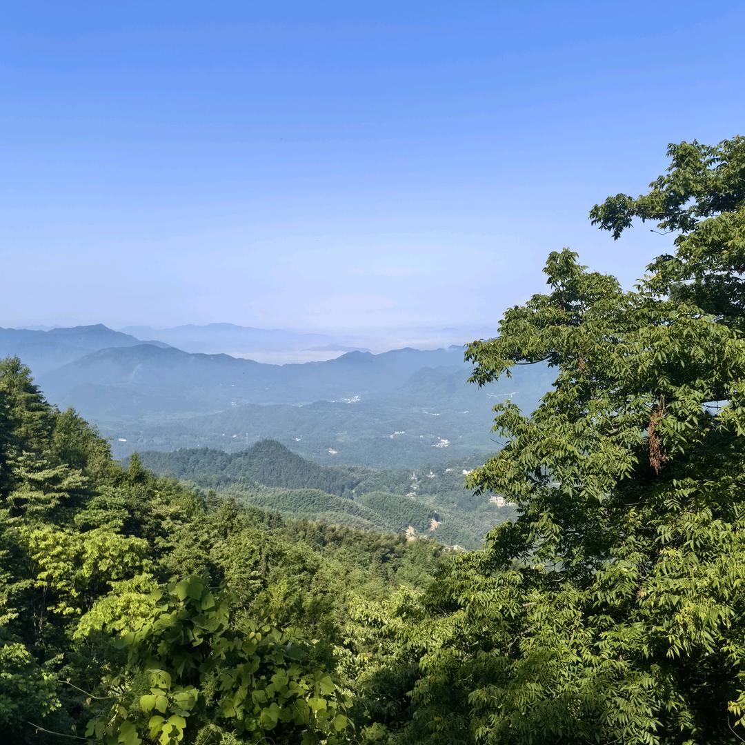 阜阳小陈收头发（宏翔发制品）