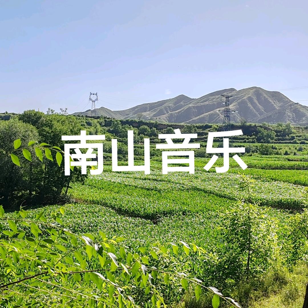 南山音乐