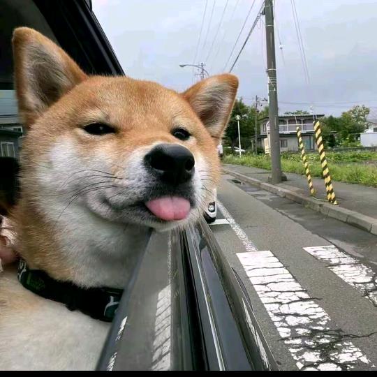 敷衍是一种煎熬