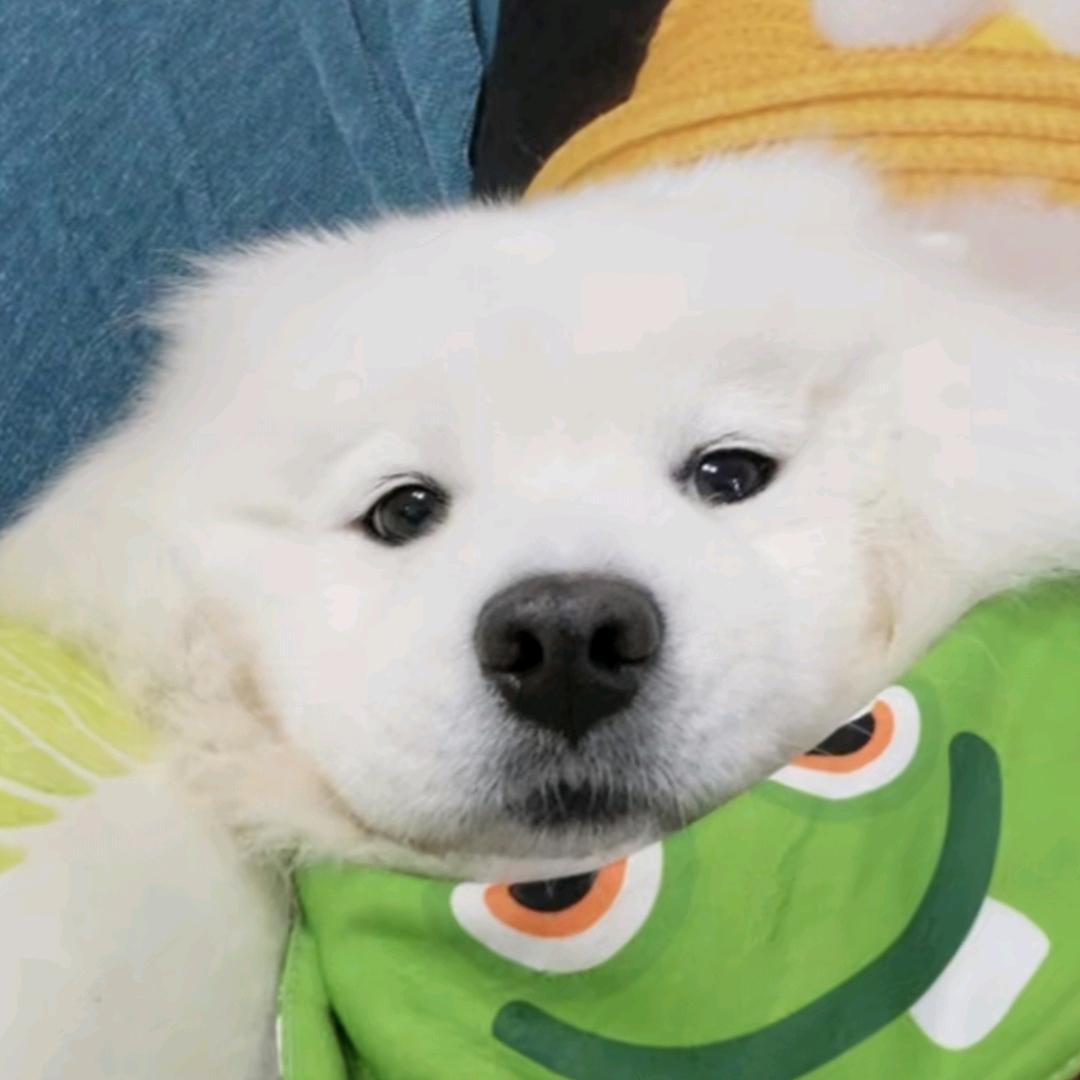 阿元正传