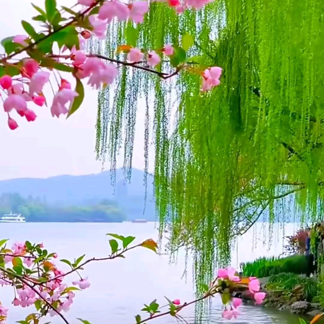 彩红红彩