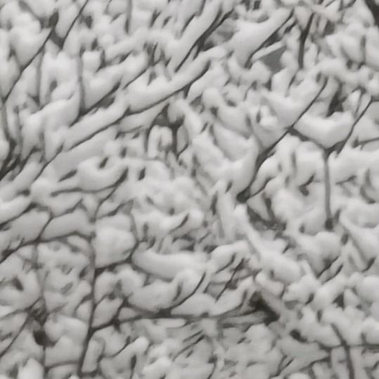 二姐呀     （每天晚上20：40）