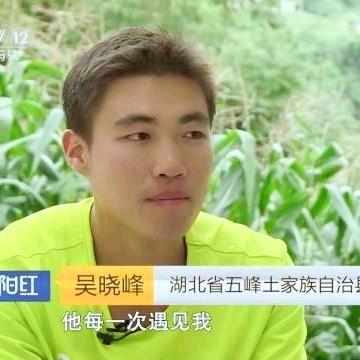 晓峰天麻