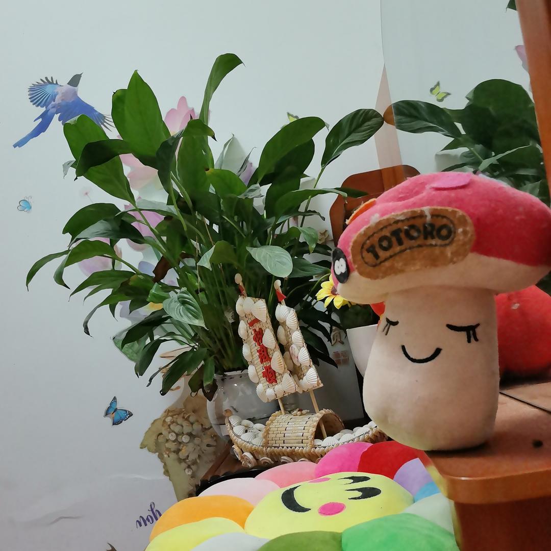 琴姐