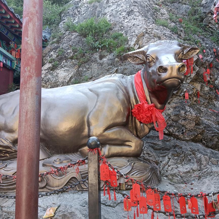 福缘堂2情感，前世今生