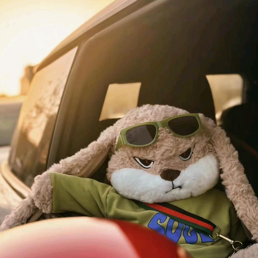 老虎出元宝秘银棉布24小时