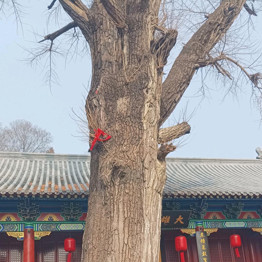 国学传统文化