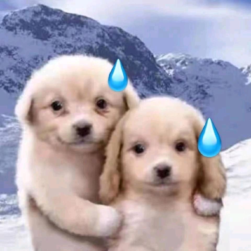 🌈🌈🌈林