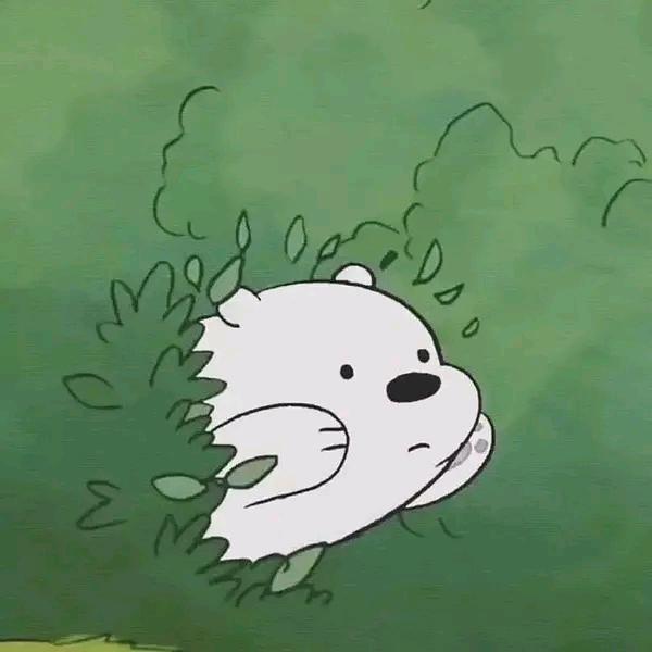阿白发财啦