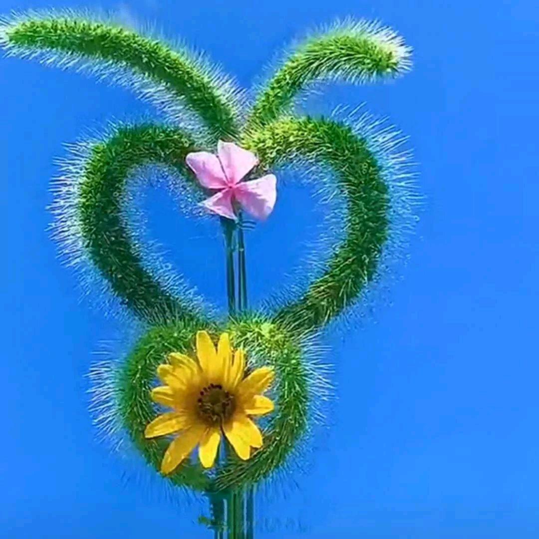 🥀᭄人生꧔ꦿᩚ靠自己💕