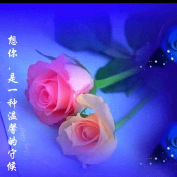 无忧的牵挂