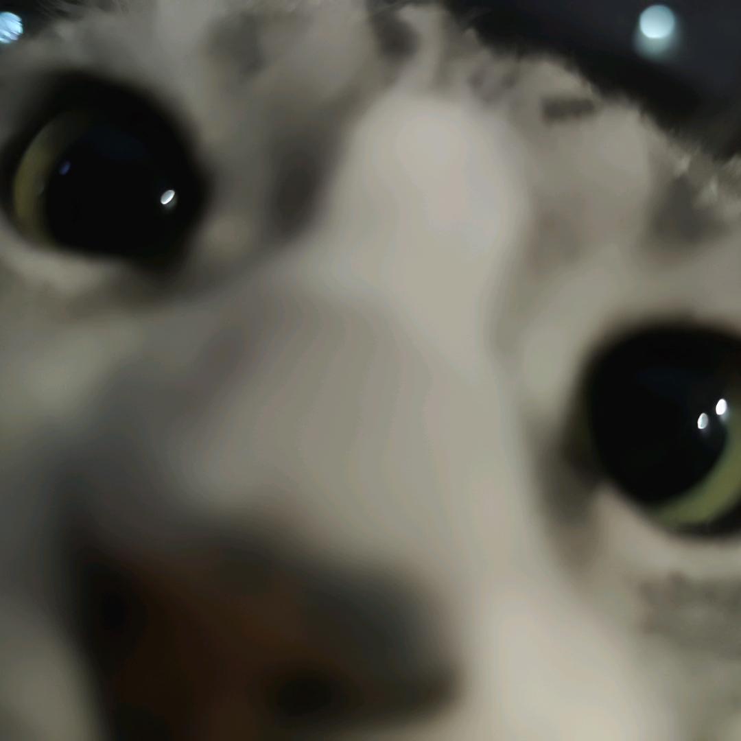 栖念。