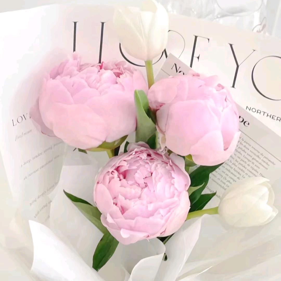 💕捧在手里怕摔了，含在嘴里怕化了💕