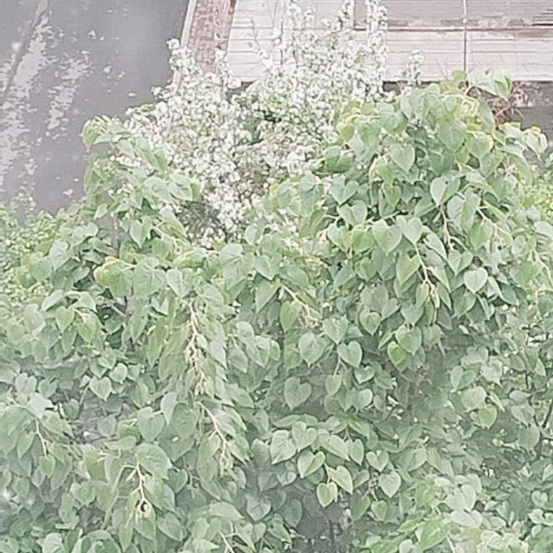 一路平安