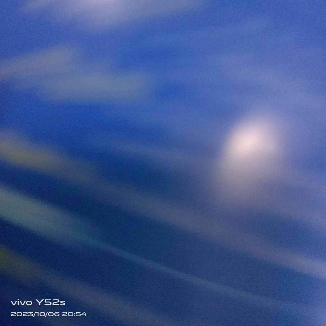 崔子豪