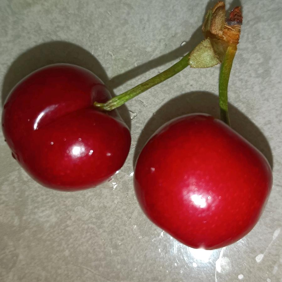 回忆往昔✊🏼✊🏼🌻🌻