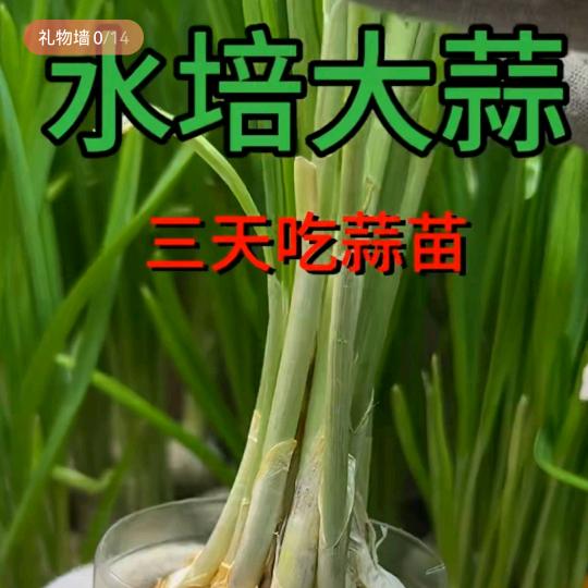 小周爱运动（风火）