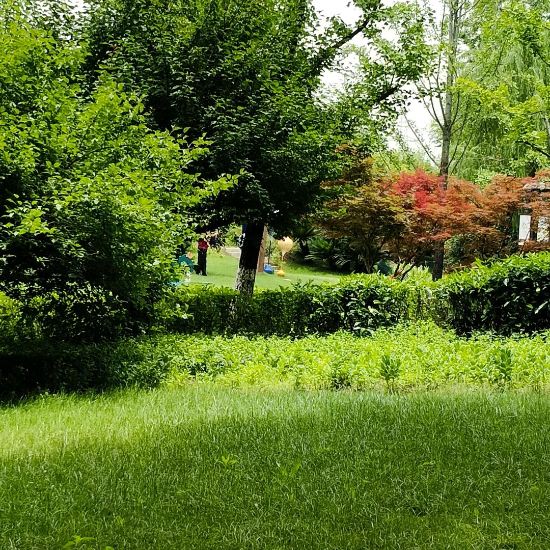 科爱开开向远方的小船