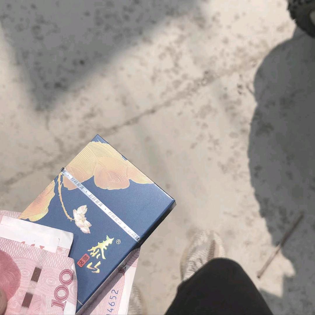 不会越野的小洋