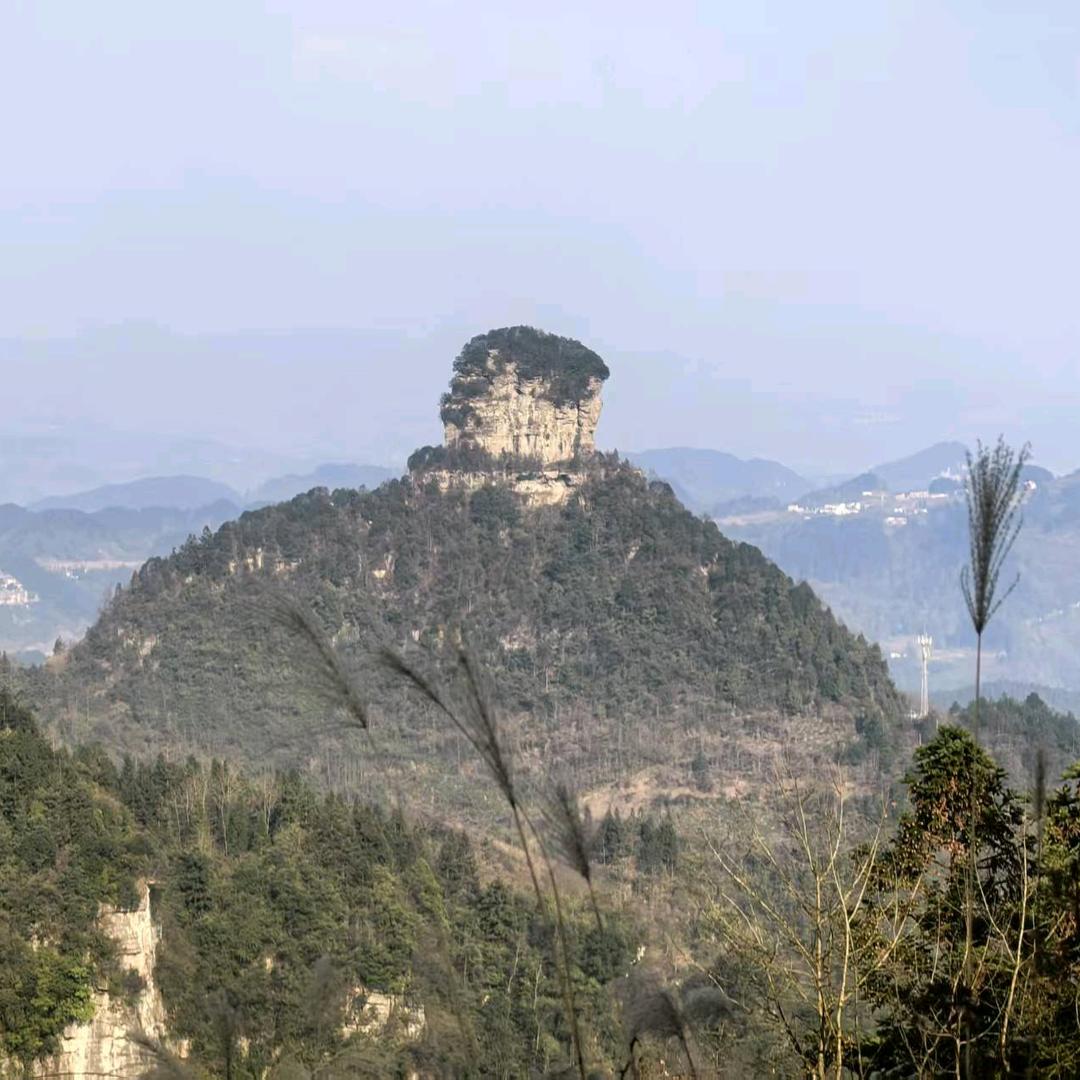 龙王快乐