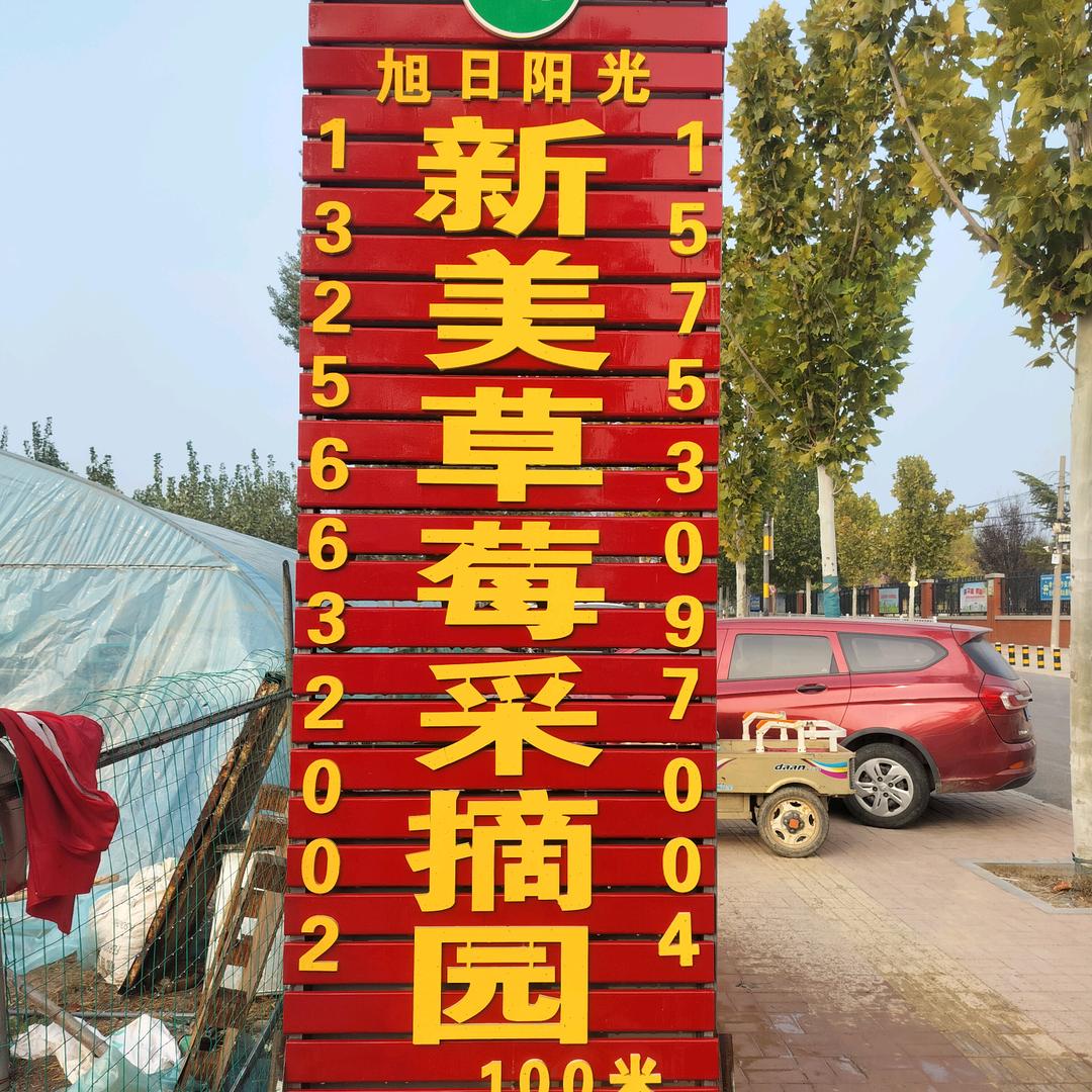 新美草莓采摘园