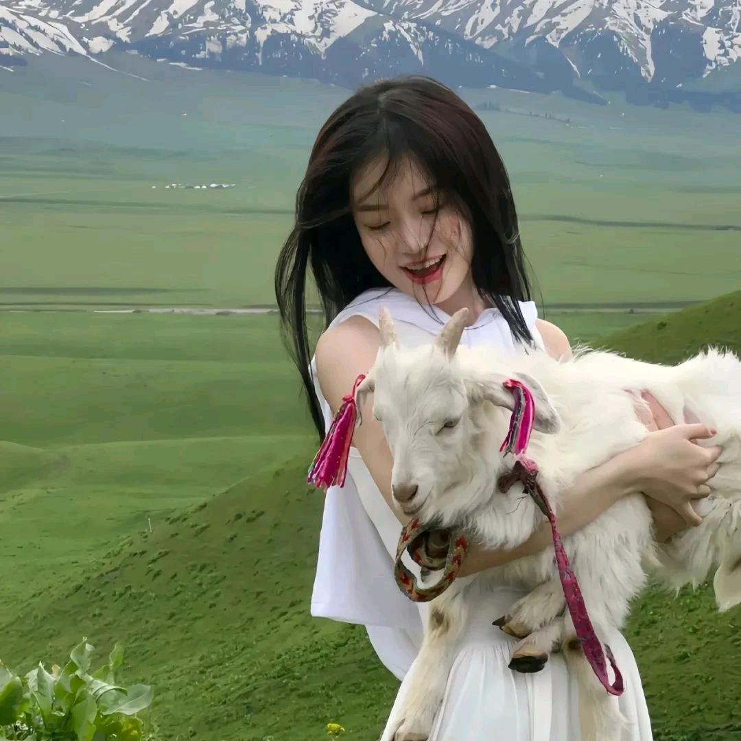 小岛来信65820979