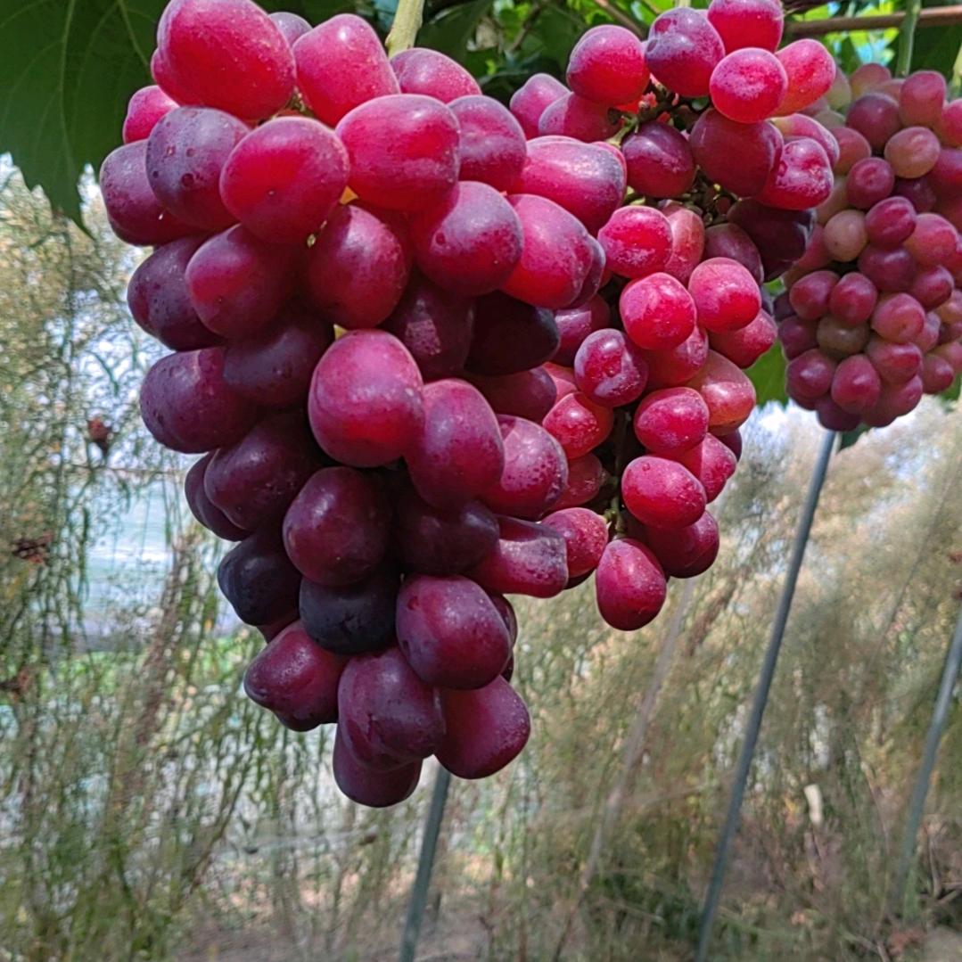 用科技便利生活