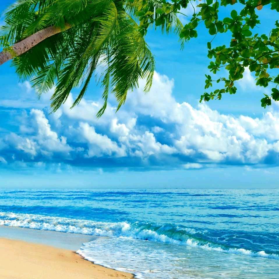 🎋🍃捡鸡蛋的先生🍭☀️