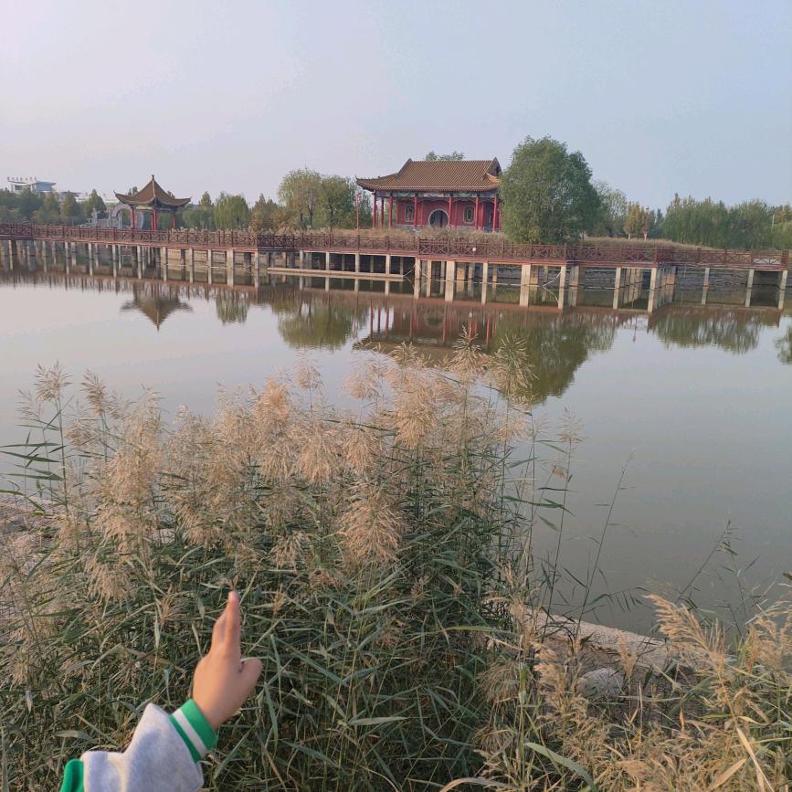 永远的心