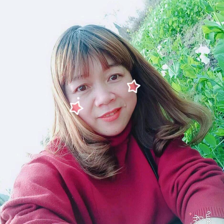 燕儿飞