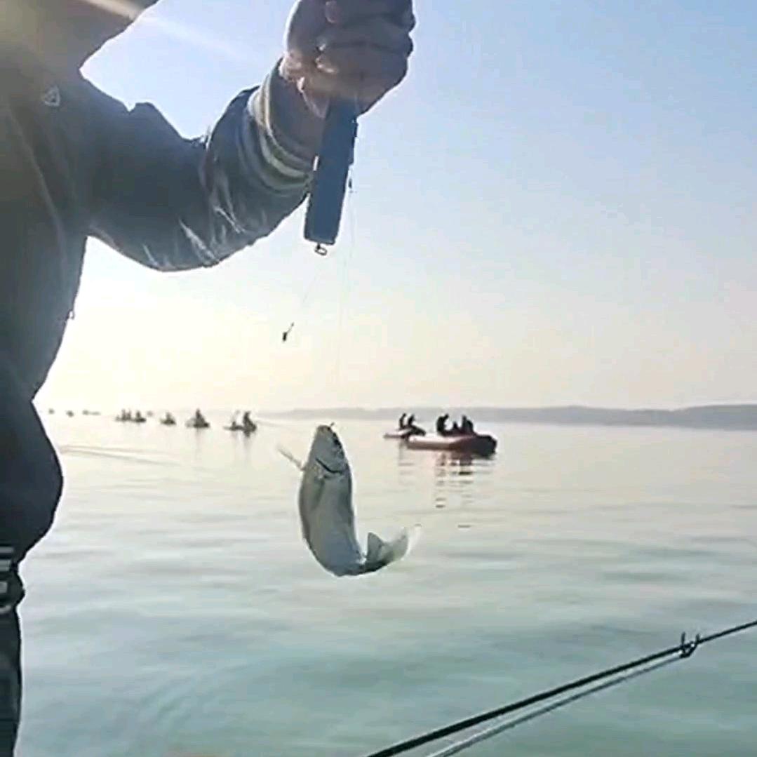 小孟酒米🎣