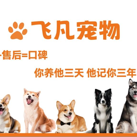 大足飞凡犬业直播号