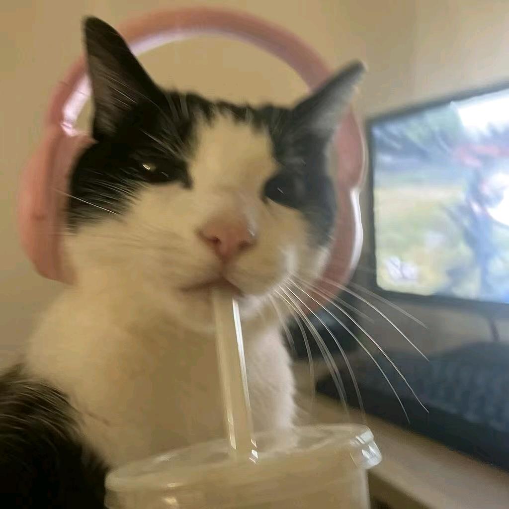 qimzn