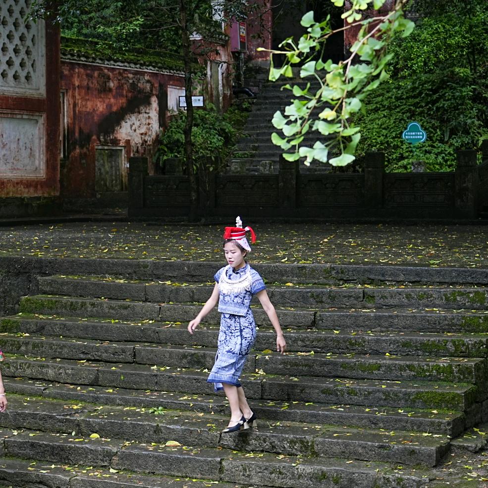 杨同学