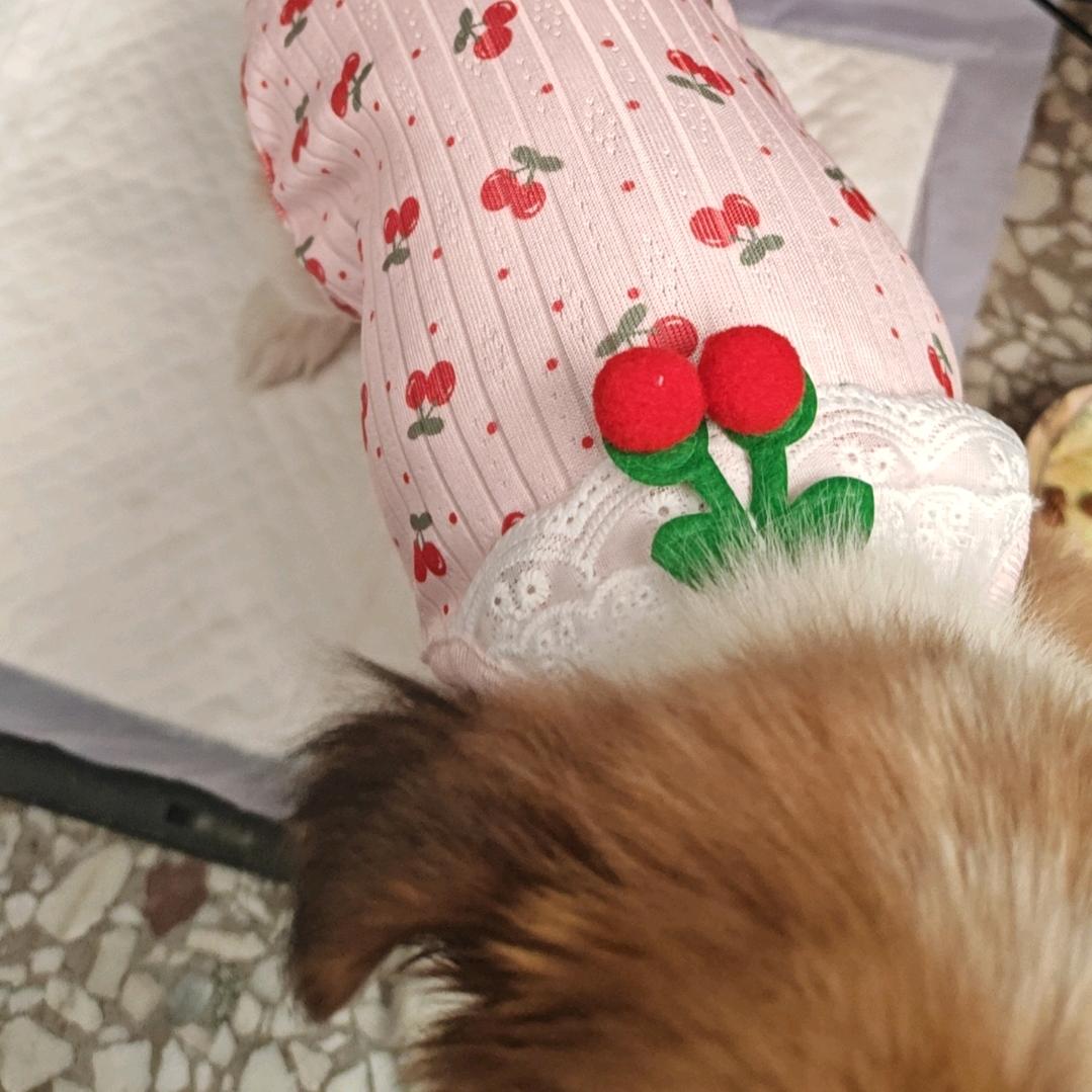 软牛