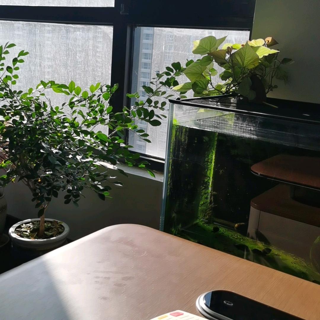 沅威企服