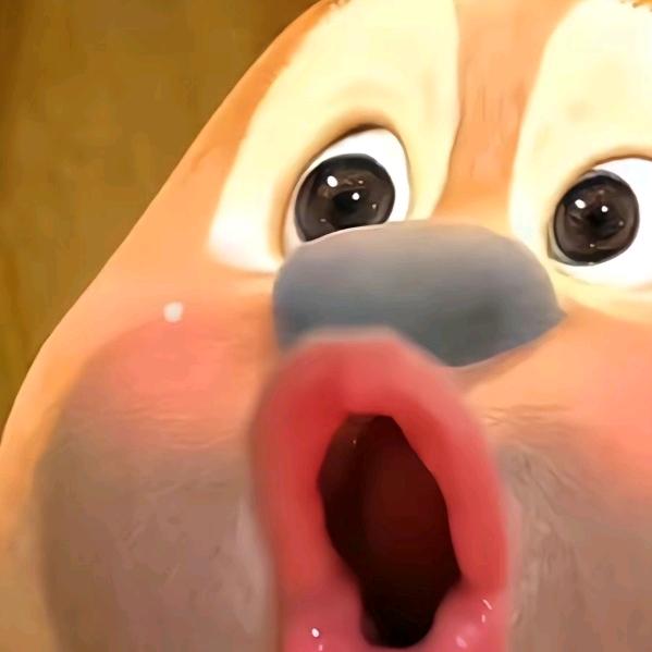 声屿
