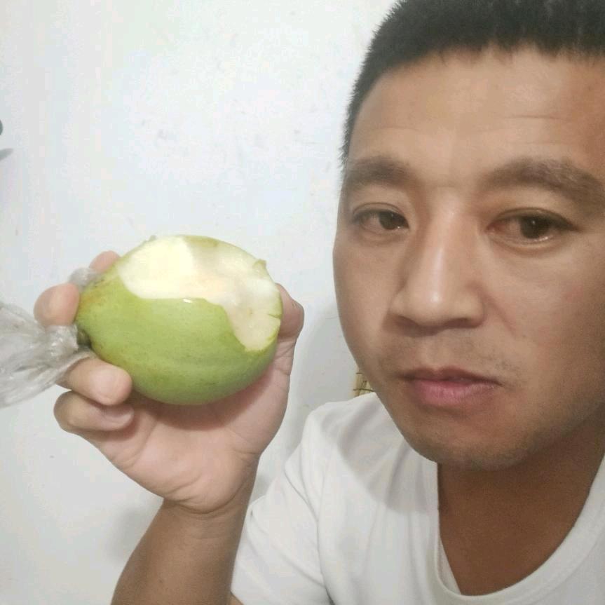 魏县阿超自家果园