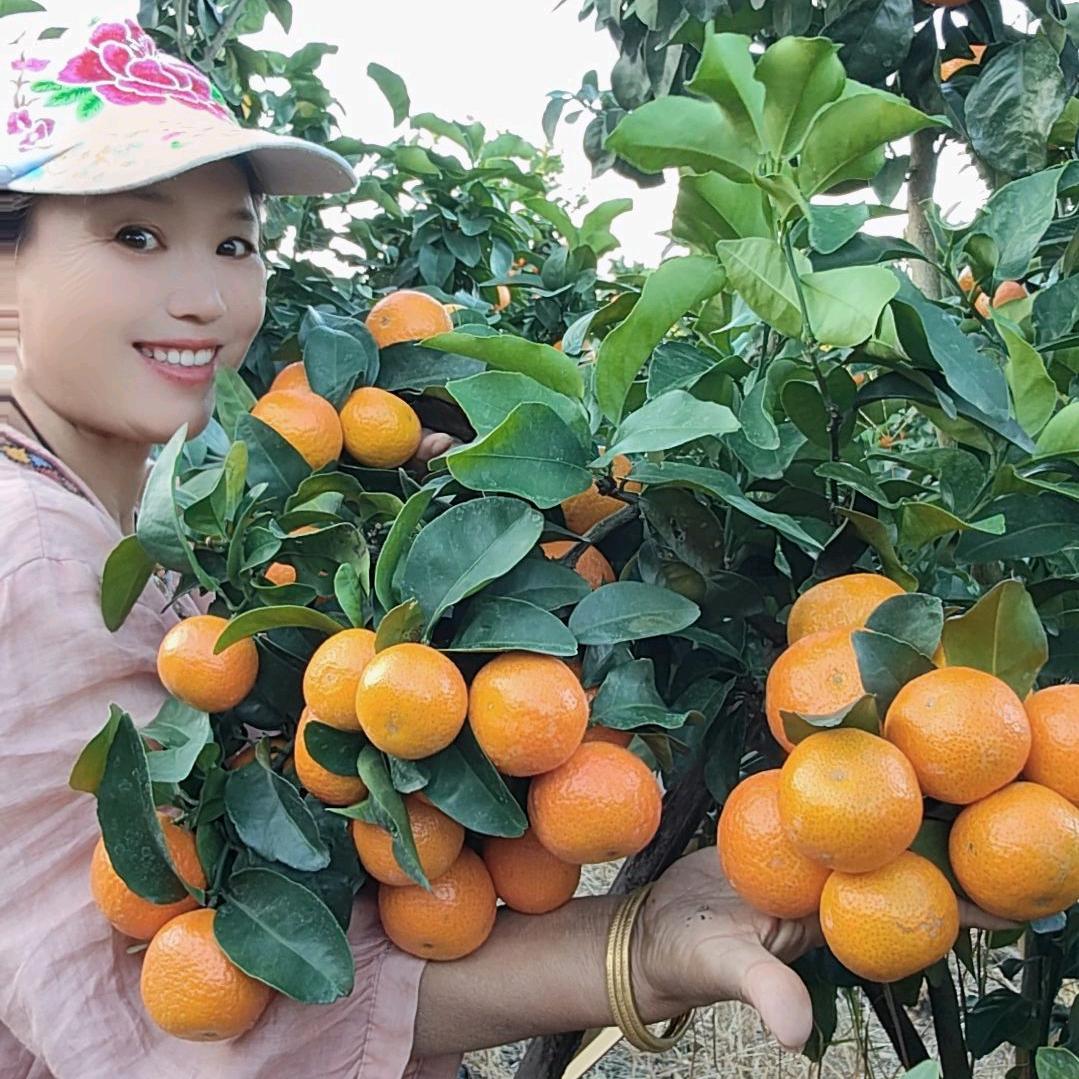 天天果园🍊