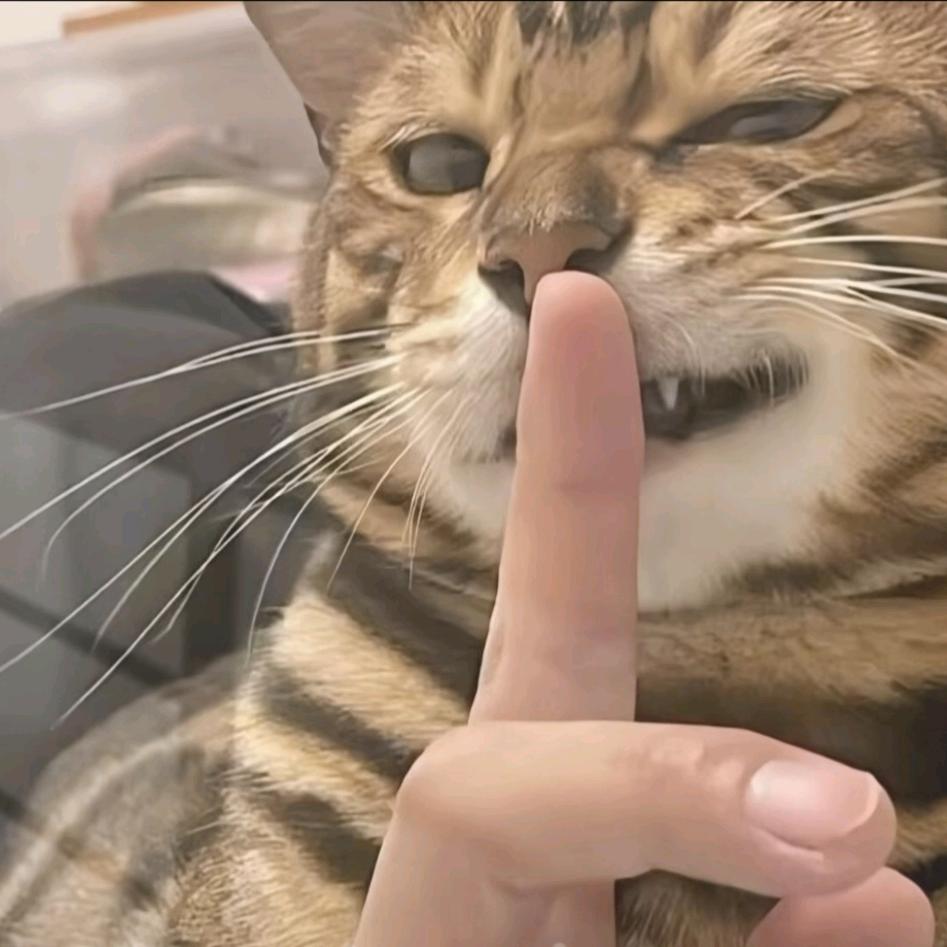 ℒᎭℯ⃝转身
