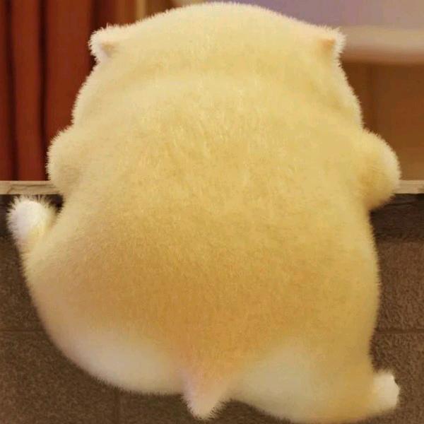 蟹不肉aa