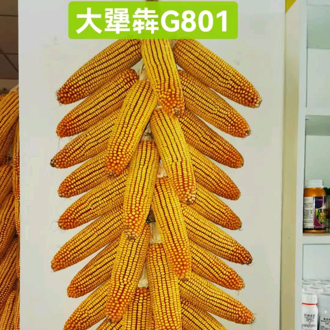 手机用户60402144248