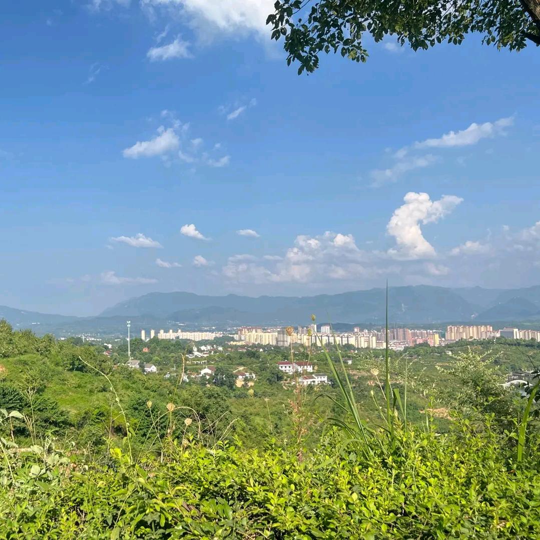 丹阳市奕梣农业有限公司