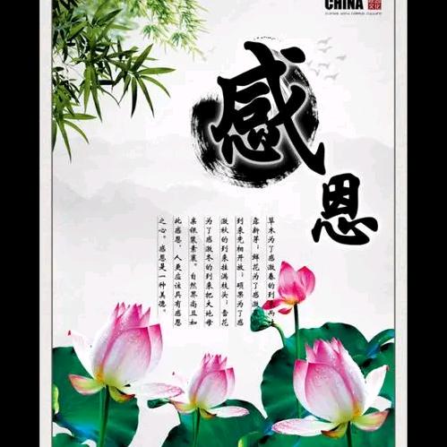 爱家