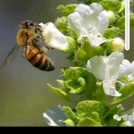 用户沙漠湖泊6093396910327