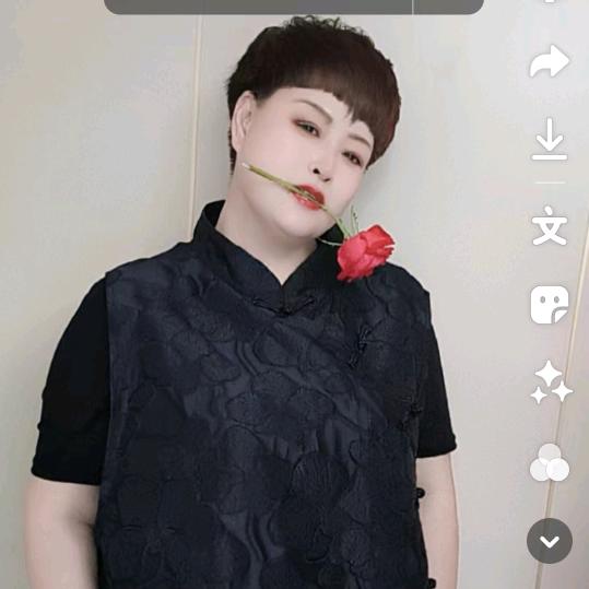 凤凤