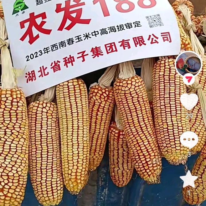 杨柳彝族白族盈旺农资