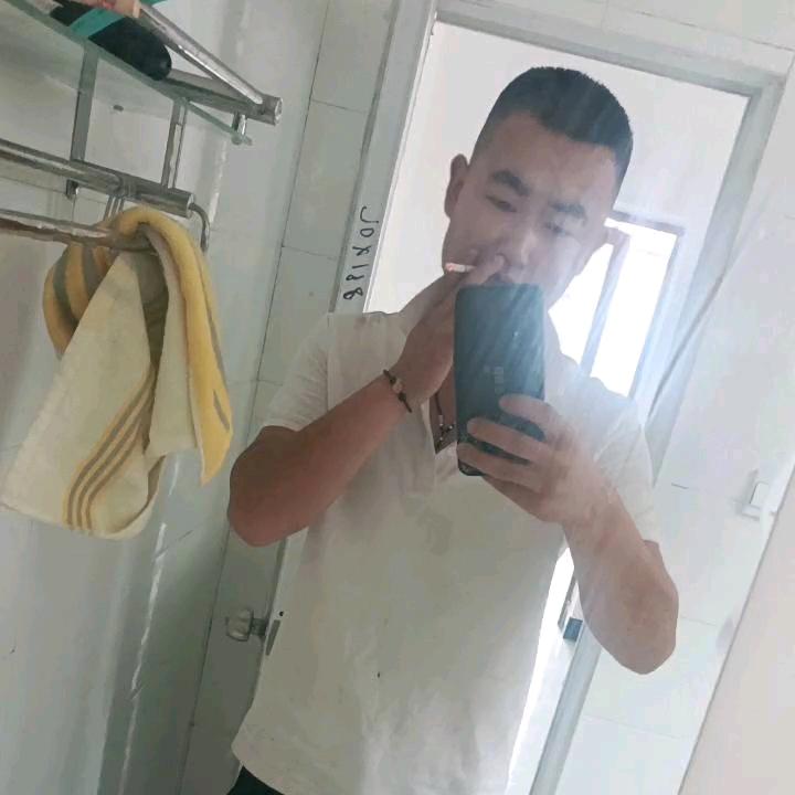 毛毛虫