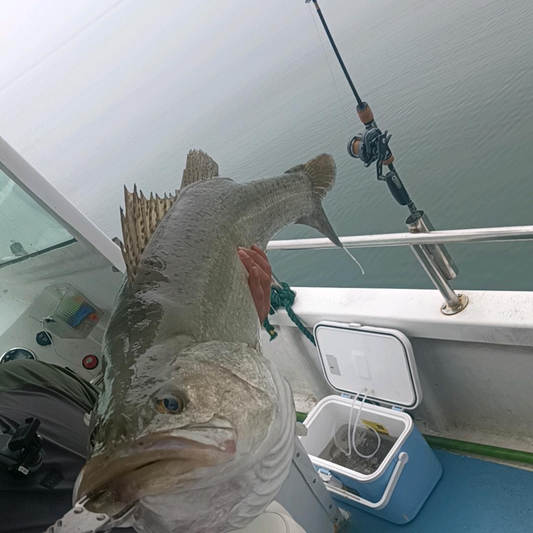 卡车 (づ ●军哥● )づ