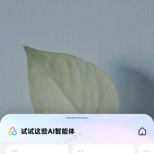 🍂((🍁⥎🍁))🍂